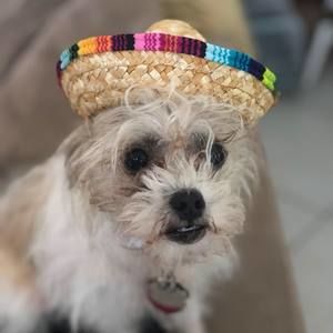 Meet your Posher, Jesse